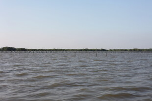 广阔水域的宁静景象