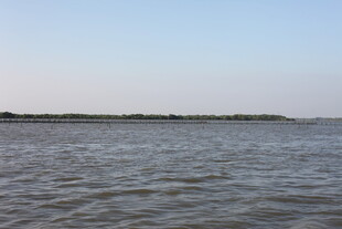 平静水域与远处岸线景观