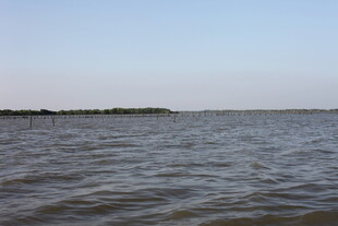 广阔水域的宁静景象