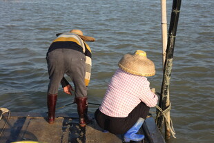 渔民船上劳作场景