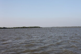 广阔水域与远处岸线景观