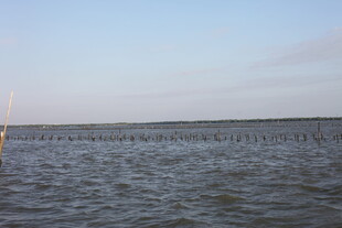 广阔水域上的长排设施