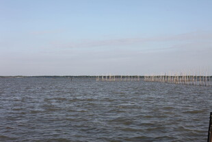 广阔海面与远处栈桥景观