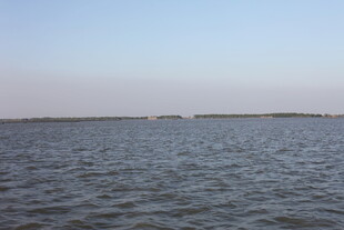 广阔水域的宁静景象