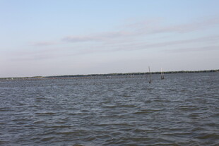 广阔水域与天际线景观