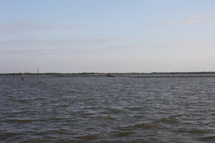 广阔水域的宁静景致