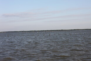 广阔海面与天际线景观