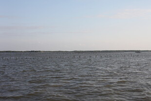 广阔海面的宁静景象