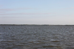 广阔水域的宁静景象