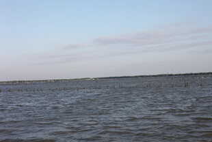 广阔水域与天际线景观