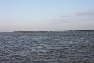 广阔海面水波荡漾