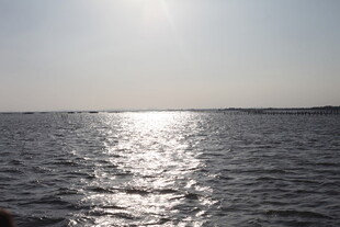 阳光下波光粼粼的海面