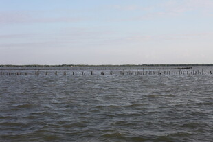 广阔水域上的长排物体