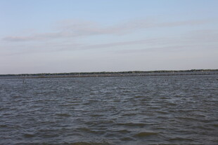 平静宽广的水域景观