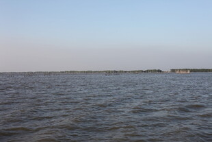 广阔水域的宁静景象