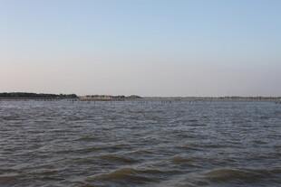 广阔水域与远处地平线