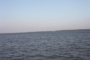 广阔海面的宁静景象