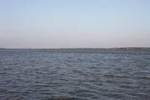 平静湖面的广阔水域景象