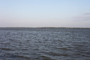 广阔平静的湖面景色