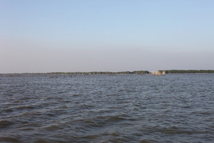 广阔水域的宁静景象