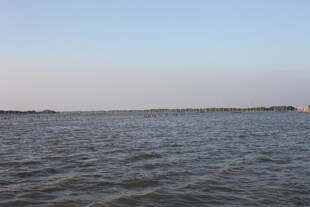 平静湖面的开阔风光