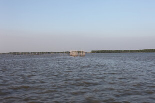 广阔水域上的远处建筑