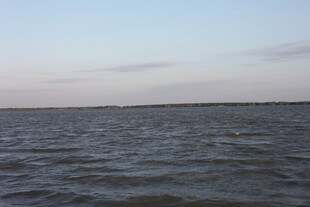 广阔海面的宁静景象