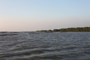 宁静水域与远处岸景