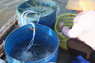 蓝色鱼篓中水流潺潺