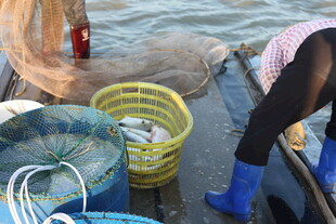 渔民海上收网劳作场景