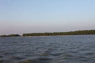 宁静湖面与远处林木景观