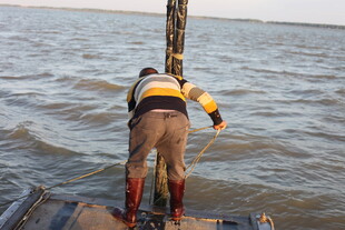 男子于船边俯身探向水面