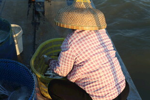 江上戴斗笠劳作的渔家女