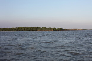 宁静湖面与远处植被景观
