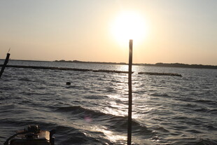 夕阳下的海面景象