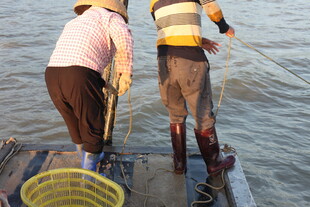 渔民船上协作撒网捕鱼