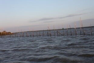 海上养殖网箱景观