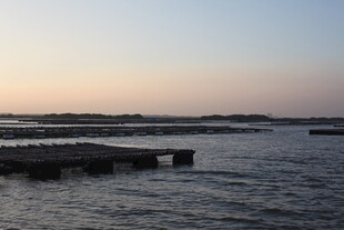 黄昏下的宁静码头