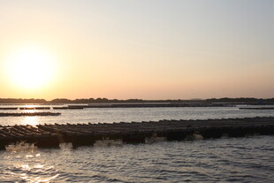 夕阳下的宁静水面景观