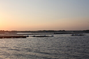 夕阳下的宁静水域