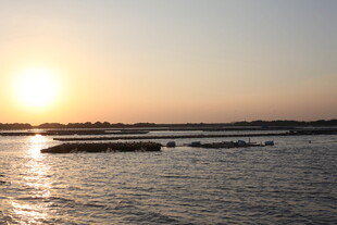 夕阳下的宁静海面