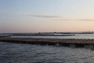 黄昏下的宁静水边景致