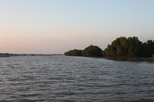 黄昏下的宁静河畔风光