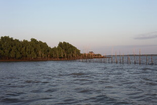 黄昏下的水域与岸边树林