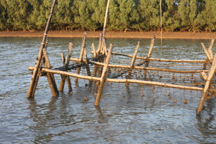 水中竹制简易搭建物