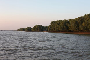 河畔树林与宁静水面景色