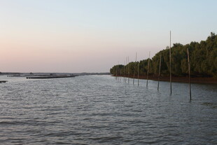 河畔暮色中的宁静水域