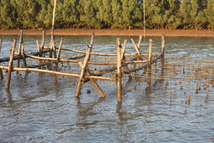 水中木架结构景观