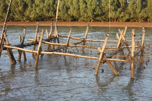 水中竹制搭建物景观