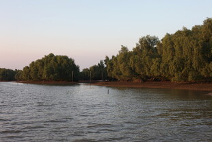 湖畔树林黄昏美景